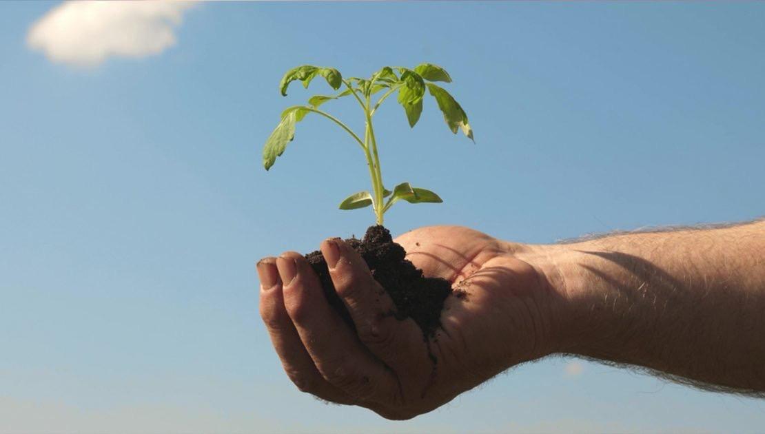 Modern Agriculture